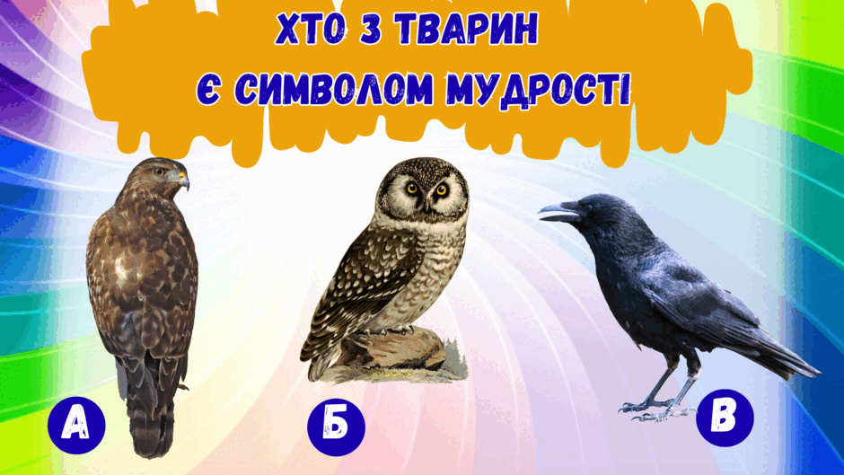 0801h21p-818f-940x529.png