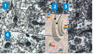 0801h4ab-79f1-327x190.png