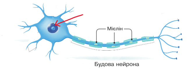 0801h57v-0820-642x247.png