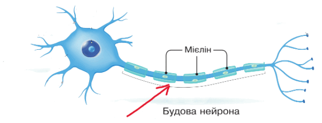 0801h595-4cf1-642x247.png