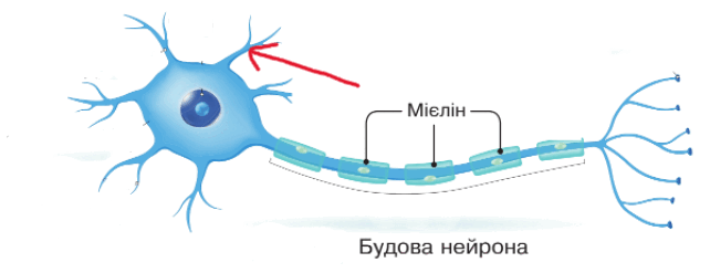 0801h5a4-9497-642x247.png