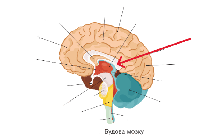 0801h5ca-beb0-708x446.png
