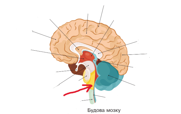 0801h5ce-6bda-708x446.png