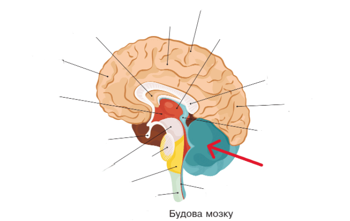 0801h5cm-0794-708x446.png