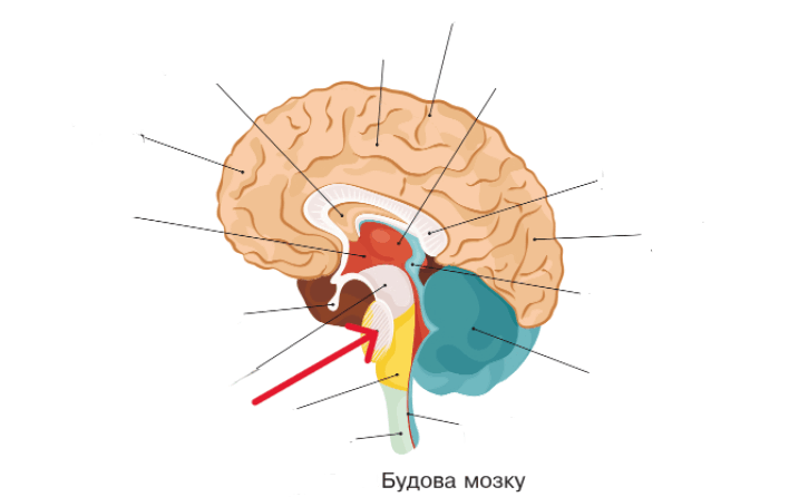 0801h5dg-c9da-708x446.png